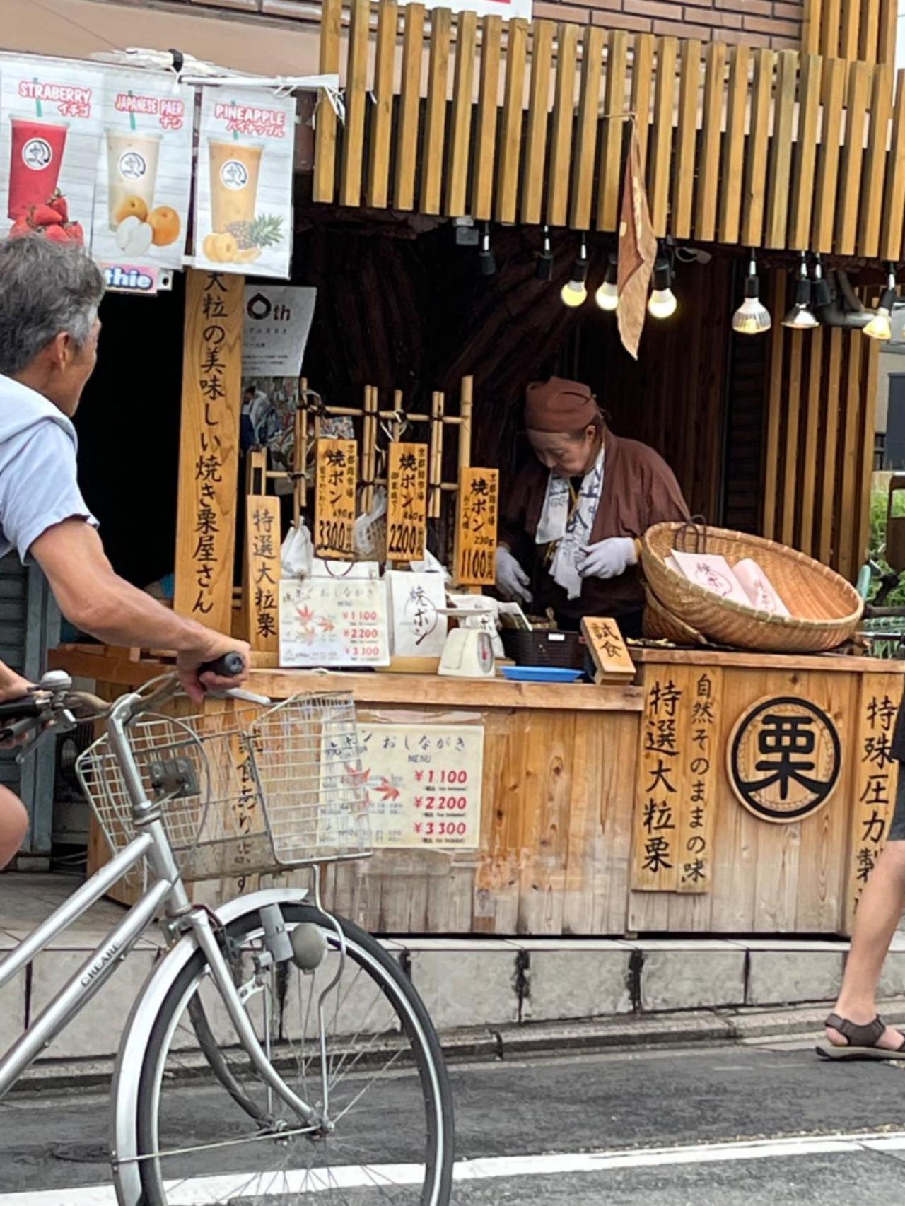 静雅の宿 京都 外观 照片