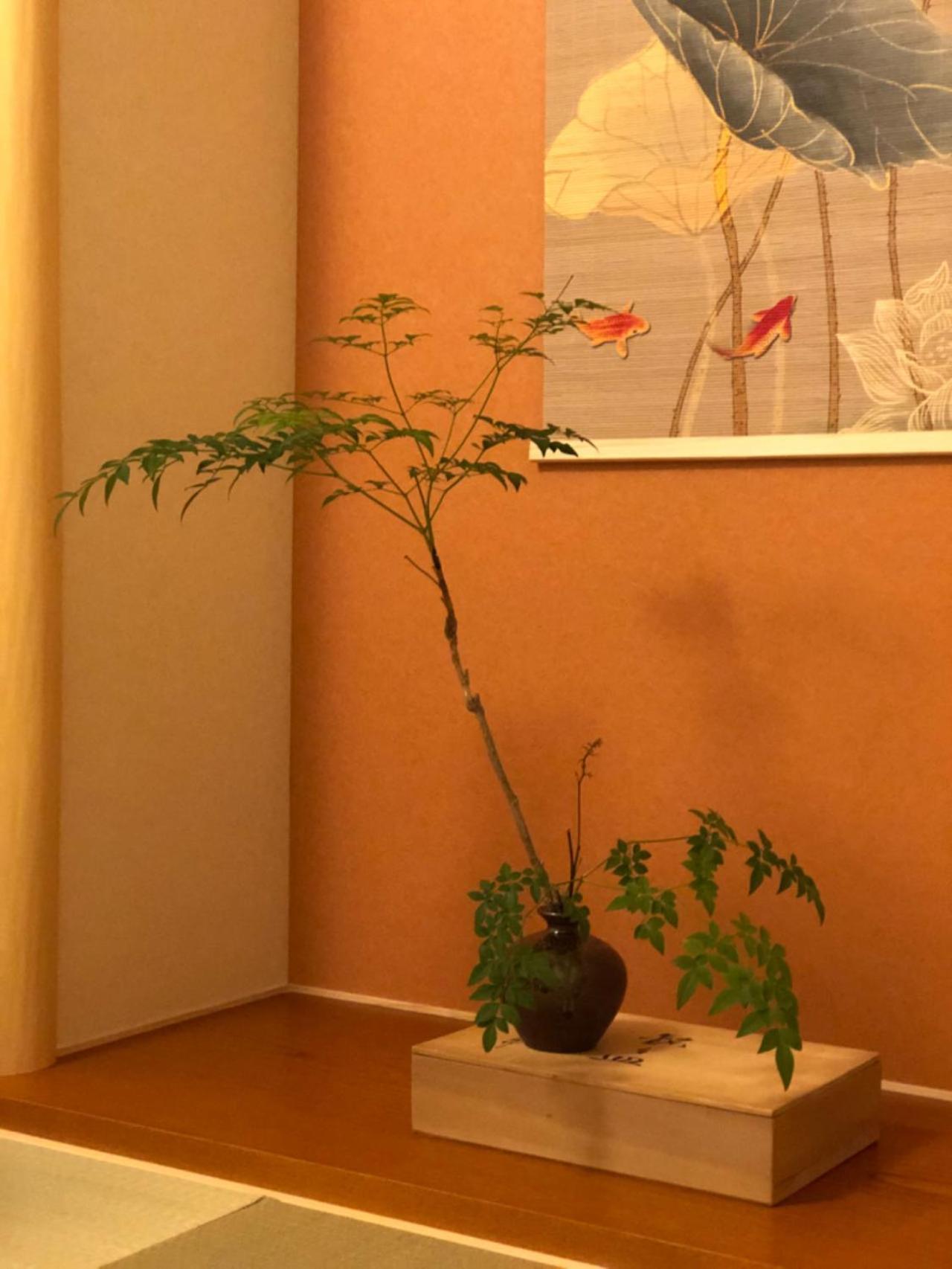 静雅の宿 京都 外观 照片