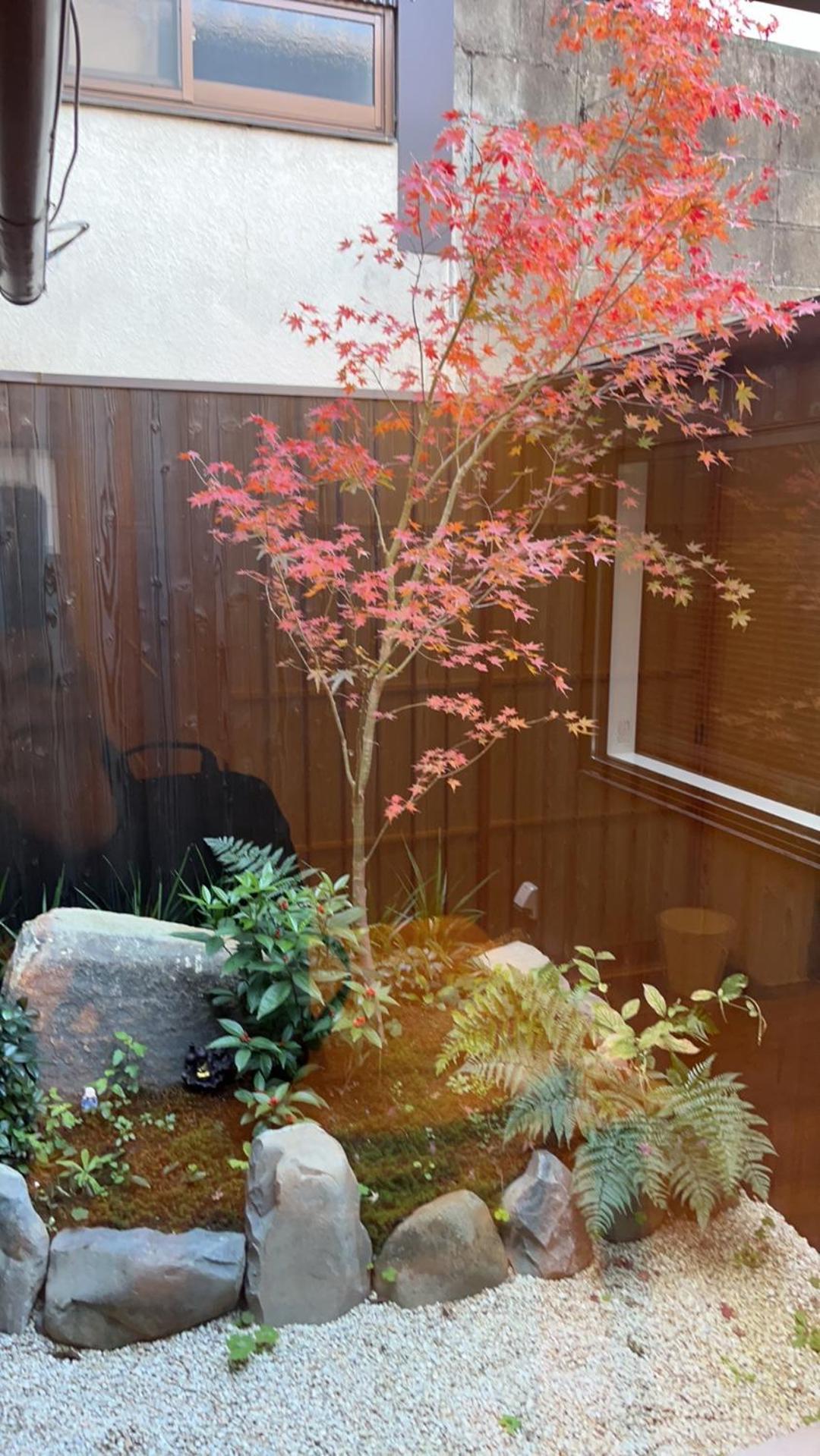 静雅の宿 京都 外观 照片